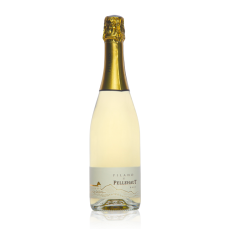 jvrgt9rd133.png PILAHO BLANC 2022 PELLEHAUT 75cl