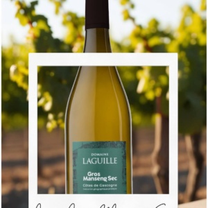 GROS MANSENG SEC 2022 LAGUILLE