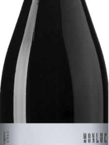 GOUPIL ROUGE 2022 MONLUC 75cl