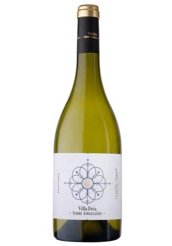 jvrgt9rd546.jpg SAUVIGNON TERRE SINGULIERE 2024 VILLA DRIA 75cl