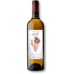 ODE A LA JOIE 2021 JOY 75cl