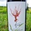 ROUGE FUSION 2022 CASSAGNOLES 75CL